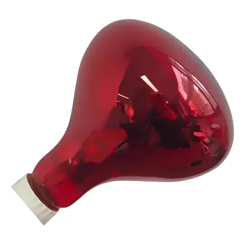 BOMBILLO INFRAROJO 250W 100V-130V