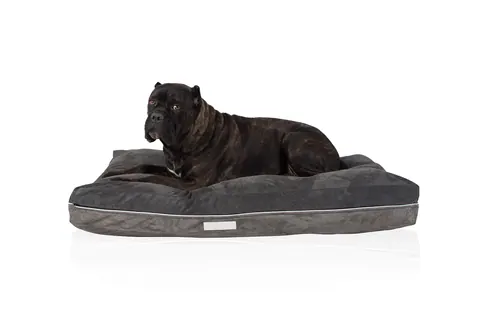 CAMA PARA PERRO GOMA ESPUMA#1 PEQUEÑA