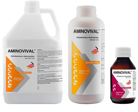 AMINOVIVAL ORAL X 1 LT