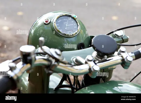 BOLDENOSIG 500 CC INY SIGMA