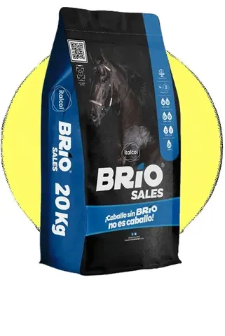 BRIO SALES X 2 KG.